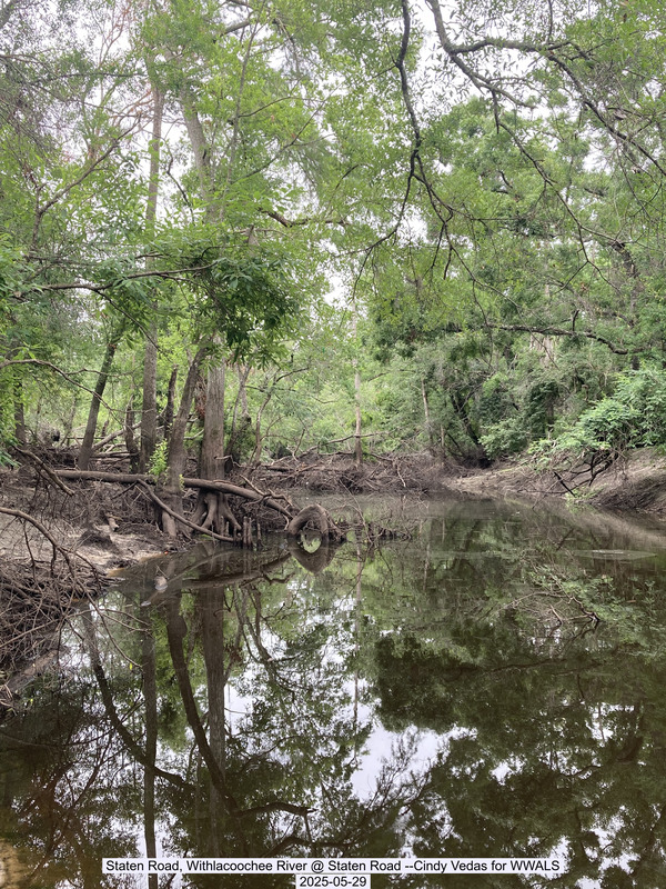 [Staten Road, Withlacoochee River @ Staten Road --Cindy Vedas for WWALS, 2025-05-29]