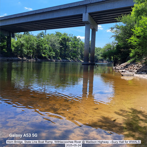 [Horn Bridge, State Line Boat Ramp, Withlacoochee River @ Madison Highway --Suzy Hall for WWALS, 2025-05-24]