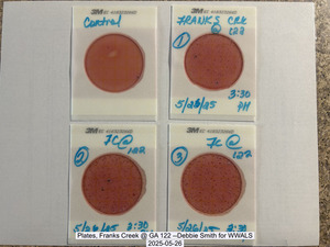 [Plates, Franks Creek @ GA 122 --Debbie Smith for WWALS, 2025-05-26]