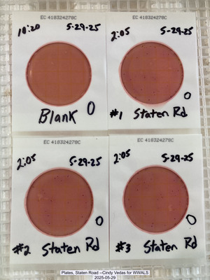 [Plates, Staten Road --Cindy Vedas for WWALS, 2025-05-29]