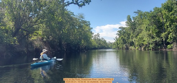 [Amy on the River, Suwannee River --jsq for WWALS, 2025-05-31, 10:39:36, 30.3526638, -82.6867542]