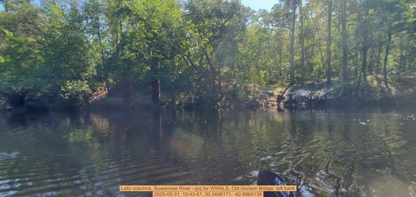 [Lally columns, Suwannee River --jsq for WWALS, Old Godwin Bridge, left bank, 2025-05-31, 10:43:47, 30.3498171, -82.6860136]