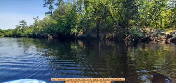 Old Godwin Bridge lally columns, left bank, Suwannee River --jsq for WWALS, 2025-05-31, 10:43:50, 30.3498171, -82.6860136