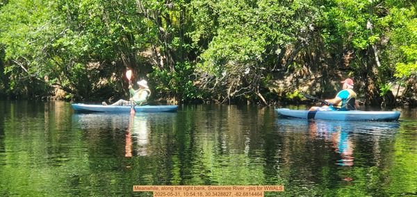 [Meanwhile, along the right bank, Suwannee River --jsq for WWALS, 2025-05-31, 10:54:18, 30.3428827, -82.6814464]