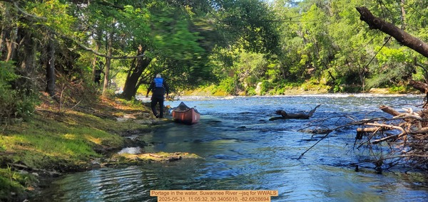 [Portage in the water, Suwannee River --jsq for WWALS, 2025-05-31, 11:05:32, 30.3405010, -82.6828694]