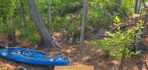 Sliding along, Suwannee River --jsq for WWALS, 2025-05-31, 11:13:37, 30.3397462, -82.6829976