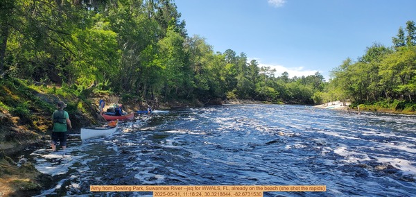 [Amy from Dowling Park, Suwannee River --jsq for WWALS, FL, already on the beach (she shot the rapids), 2025-05-31, 11:18:24, 30.3218844, -82.6731530]