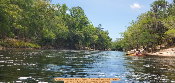 [From the beach to Robinson Creek, Suwannee River --jsq for WWALS, 2025-05-31, 12:02:43, 30.3380255, -82.6839068]