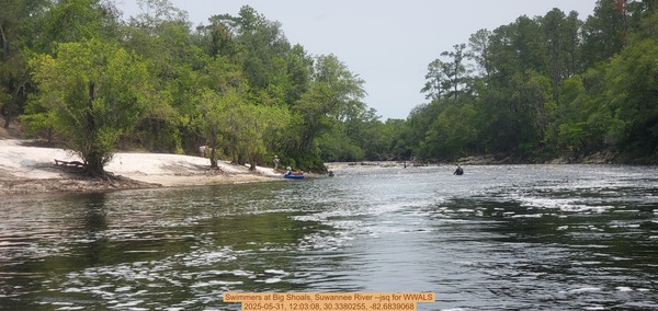 [Swimmers at Big Shoals, Suwannee River --jsq for WWALS, 2025-05-31, 12:03:08, 30.3380255, -82.6839068]