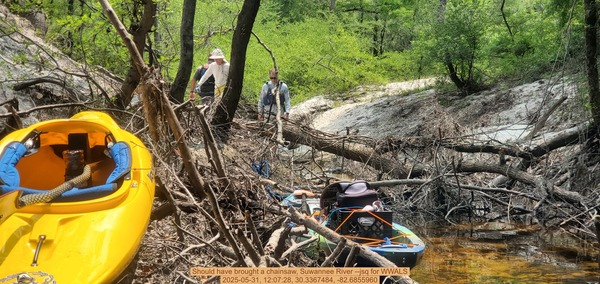 [Should have brought a chainsaw, Suwannee River --jsq for WWALS, 2025-05-31, 12:07:28, 30.3367484, -82.6855960]