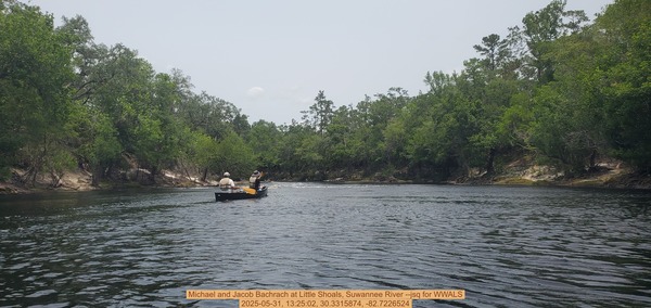 [Michael and Jacob Bachrach at Little Shoals, Suwannee River --jsq for WWALS, 2025-05-31, 13:25:02, 30.3315874, -82.7226524]