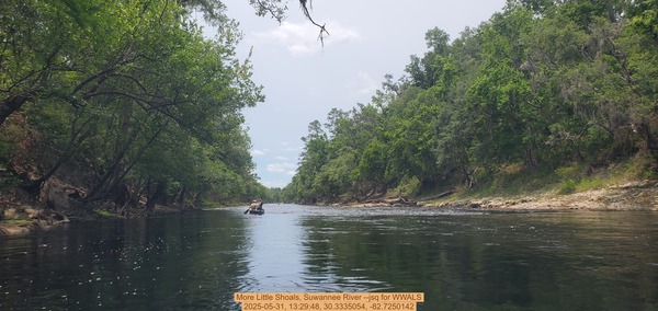 More Little Shoals, Suwannee River --jsq for WWALS, 2025-05-31, 13:29:48, 30.3335054, -82.7250142