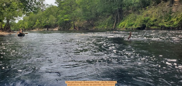 They got through, Suwannee River --jsq for WWALS, 2025-05-31, 13:35:58, 30.3307785, -82.7311511