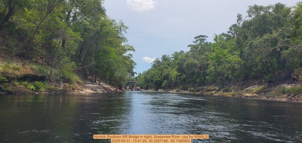 [Norfolk Southern RR Bridge in sight, Suwannee River --jsq for WWALS, 2025-05-31, 13:41:26, 30.3287198, -82.7360922]