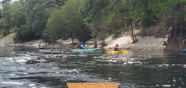 By the right bank, Suwannee River --jsq for WWALS, 2025-05-31, 13:44:13, 30.3274754, -82.7373042