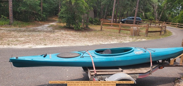 [Cypress Dagger that Amy used to shoot Big Shoals, Suwannee River --jsq for WWALS, 2025-05-31, 14:42:13, 30.3525025, -82.6877668]