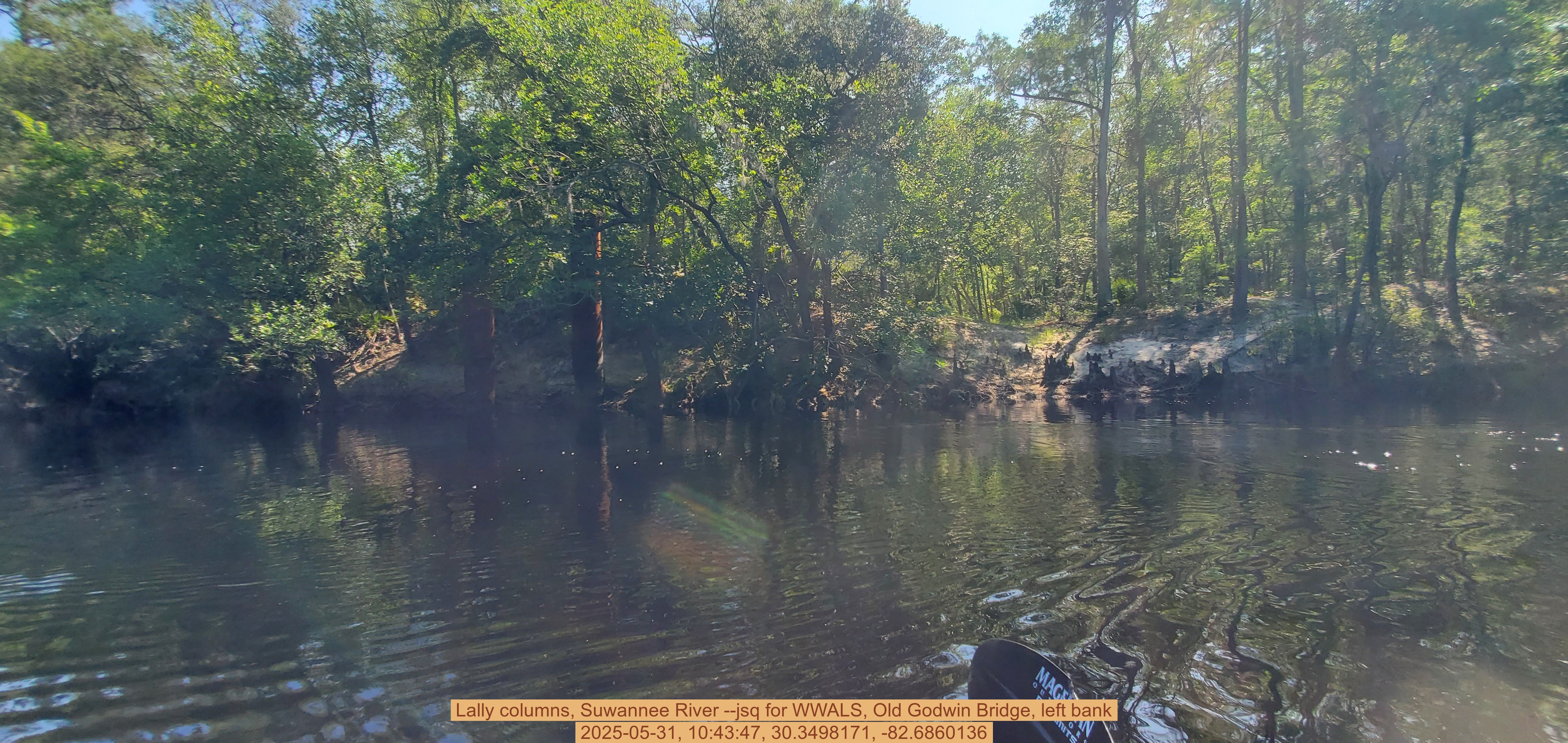 Lally columns, Suwannee River --jsq for WWALS, Old Godwin Bridge, left bank, 2025-05-31, 10:43:47, 30.3498171, -82.6860136