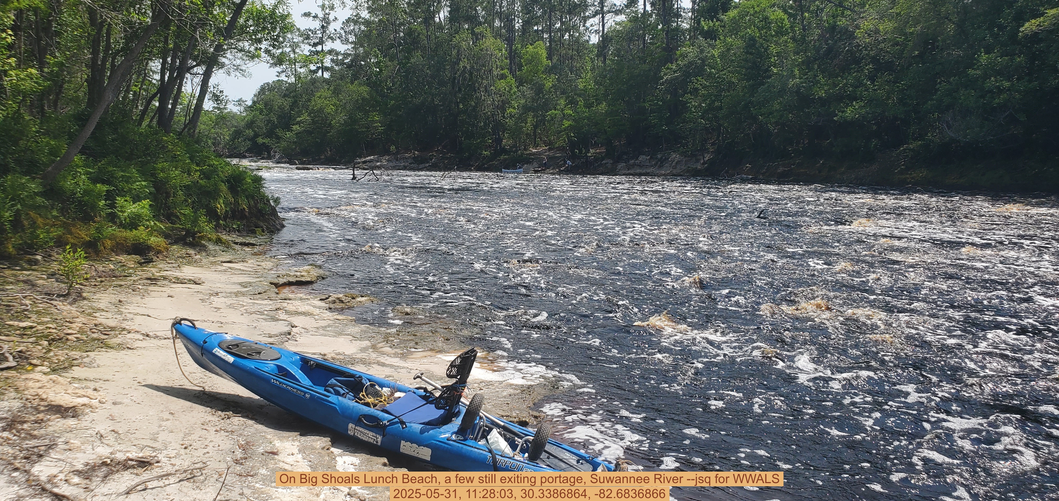On Big Shoals Lunch Beach, a few still exiting portage, Suwannee River --jsq for WWALS, 2025-05-31, 11:28:03, 30.3386864, -82.6836866