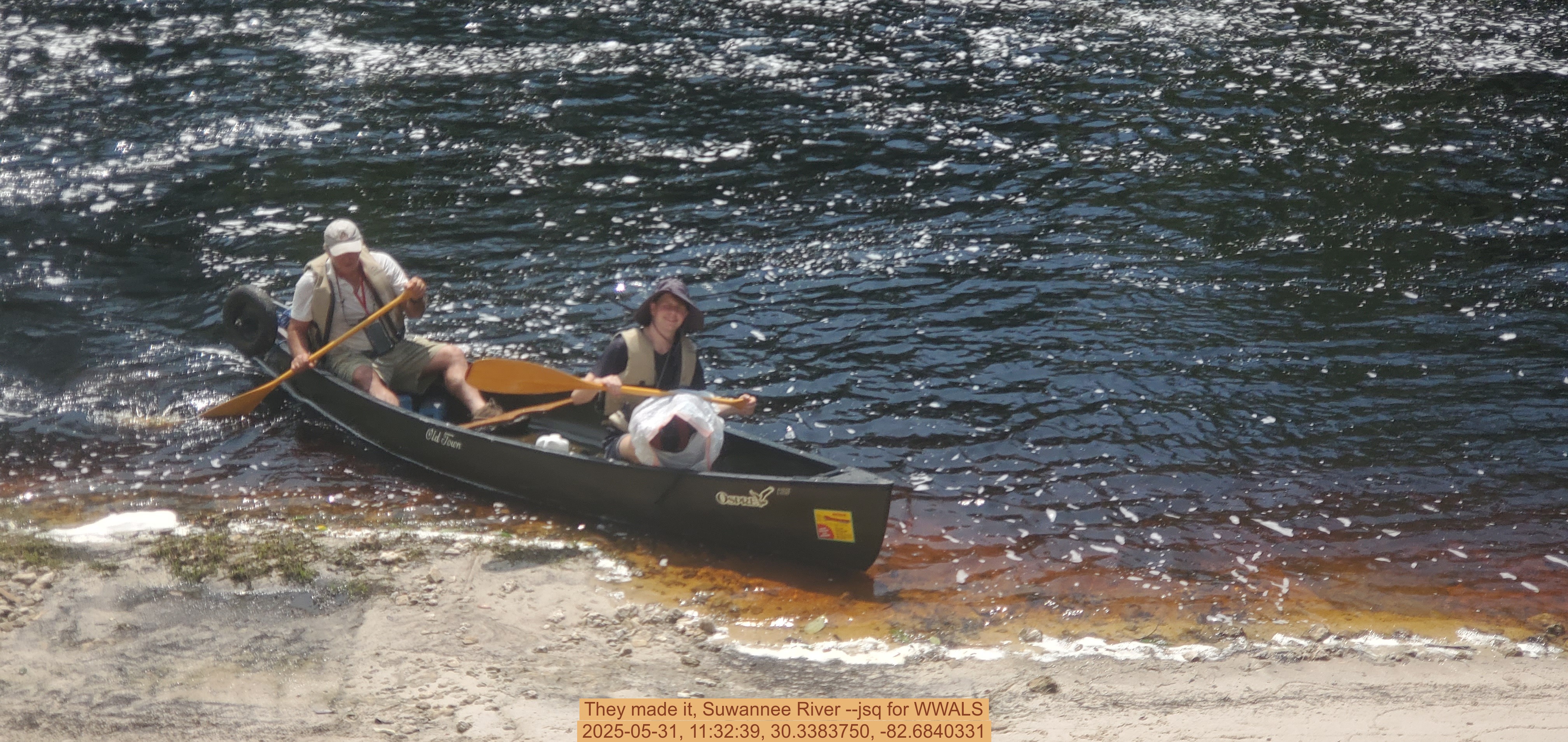 They made it, Suwannee River --jsq for WWALS, 2025-05-31, 11:32:39, 30.3383750, -82.6840331