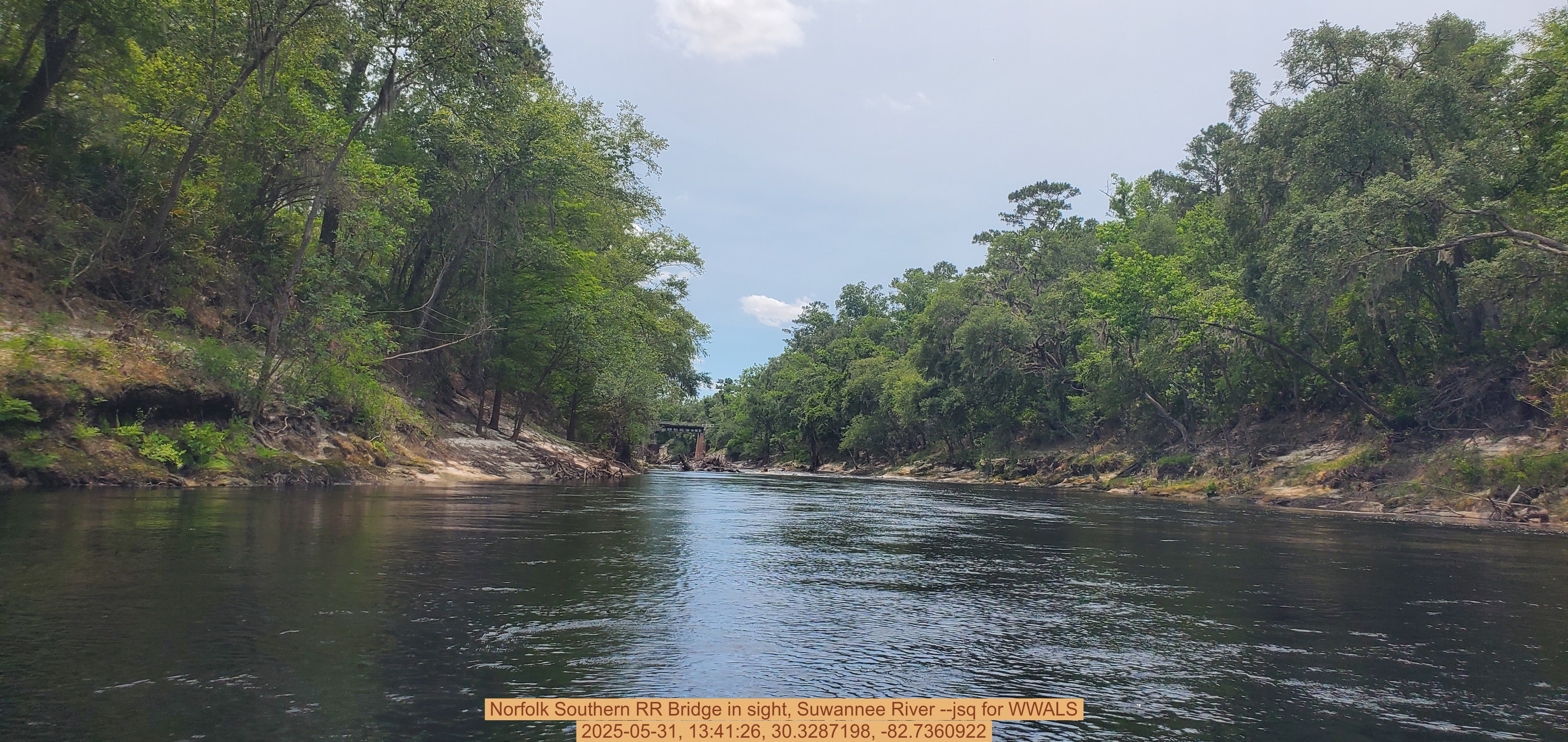 Norfolk Southern RR Bridge in sight, Suwannee River --jsq for WWALS, 2025-05-31, 13:41:26, 30.3287198, -82.7360922
