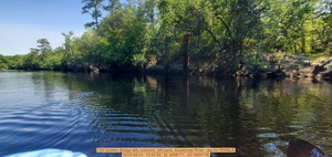 [Old Godwin Bridge lally columns, left bank, Suwannee River --jsq for WWALS, 2025-05-31, 10:43:50, 30.3498171, -82.6860136]