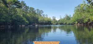 [Portage to the left, Suwannee River --jsq for WWALS, 2025-05-31, 10:56:23, 30.3417488, -82.6817413]