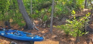 [Sliding along, Suwannee River --jsq for WWALS, 2025-05-31, 11:13:37, 30.3397462, -82.6829976]