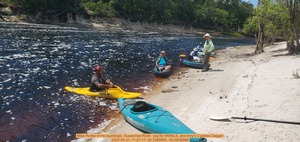 [Mike Hurley in his liquidlogic, Suwannee River --jsq for WWALS, and Amy's Cypress Dagger, 2025-05-31, 11:27:17, 30.3386864, -82.6836866]