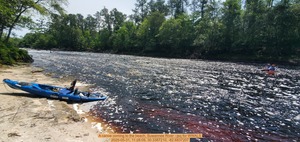 [A canoe coming to the beach, Suwannee River --jsq for WWALS, 2025-05-31, 11:28:09, 30.3387210, -82.6837207]