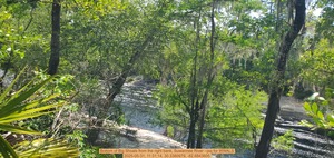 [Bottom of Big Shoals from the right bank, Suwannee River --jsq for WWALS, 2025-05-31, 11:31:14, 30.3380979, -82.6843605]