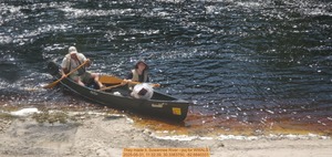 [They made it, Suwannee River --jsq for WWALS, 2025-05-31, 11:32:39, 30.3383750, -82.6840331]