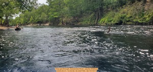 [They got through, Suwannee River --jsq for WWALS, 2025-05-31, 13:35:58, 30.3307785, -82.7311511]