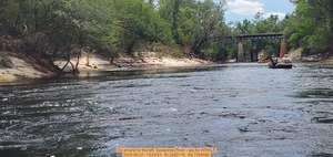 [Go around to the left, Suwannee River --jsq for WWALS, 2025-05-31, 13:43:01, 30.3282170, -82.7365692]