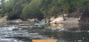 [By the right bank, Suwannee River --jsq for WWALS, 2025-05-31, 13:44:13, 30.3274754, -82.7373042]