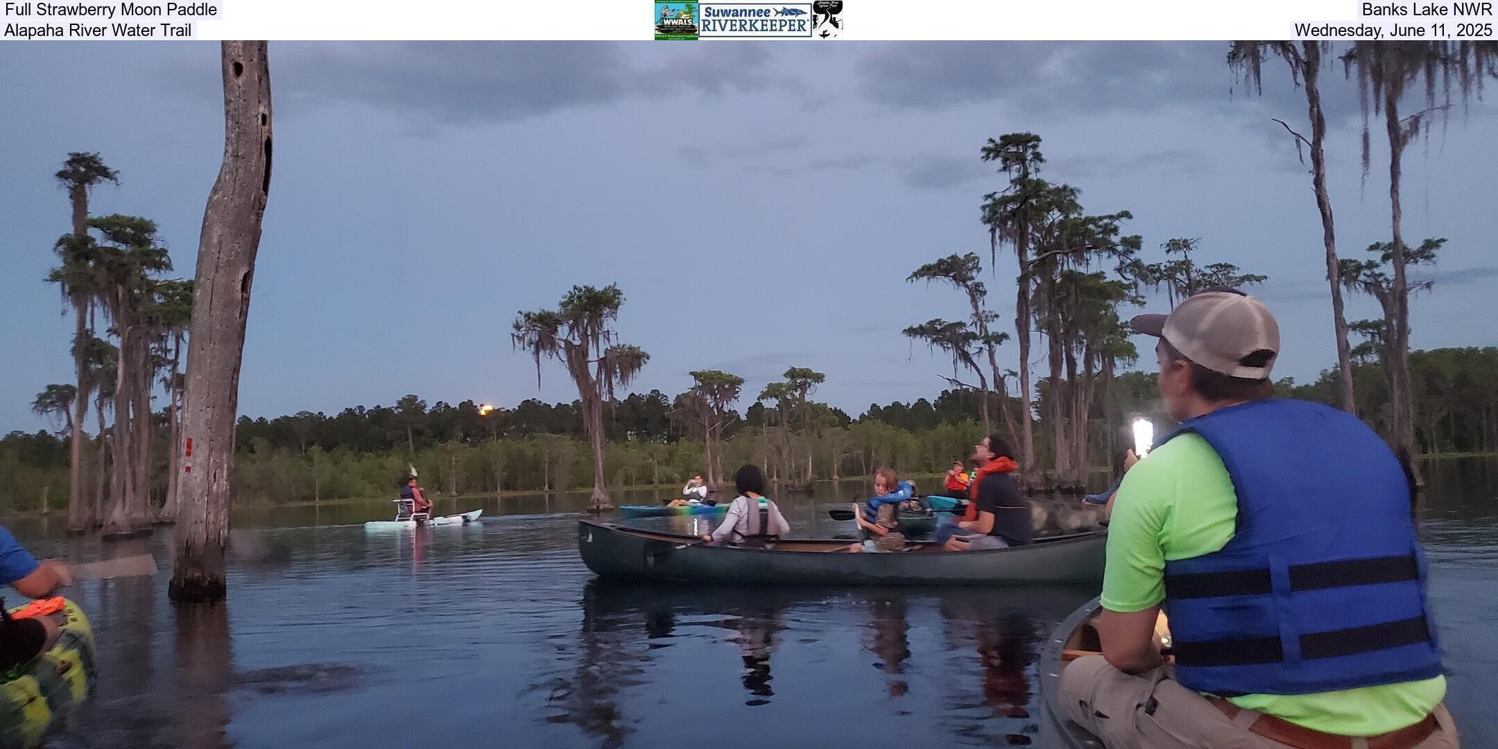 Full Strawberry Moon Paddle, Banks Lake NWR, Alapaha River Water Trail, Wednesday, June 11, 2025