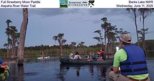 [Full Strawberry Moon Paddle, Banks Lake NWR, Alapaha River Water Trail, Wednesday, June 11, 2025]