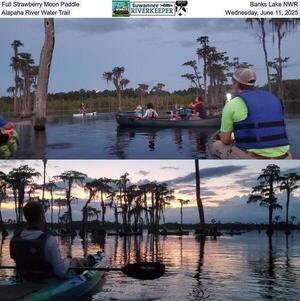 [Full Strawberry Moon Paddle, Banks Lake NWR, Alapaha River Water Trail, Wednesday, June 11, 2025]