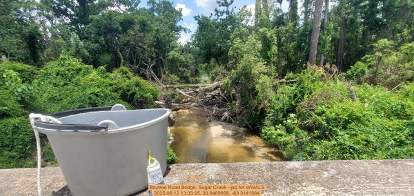 [Baytree Road Bridge, Sugar Creek --jsq for WWALS, 2025:06:12 13:03:25, 30.8469958, -83.3141084]