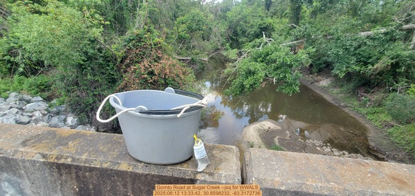 [Gornto Road at Sugar Creek --jsq for WWALS, 2025:06:12 13:33:42, 30.8598232, -83.3172736]