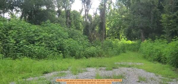 [Movie: Lower end of sewage bypass is up that way --jsq for WWALS, 2025:06:12 13:46:48, 30.8572, -83.3165 (34M)]