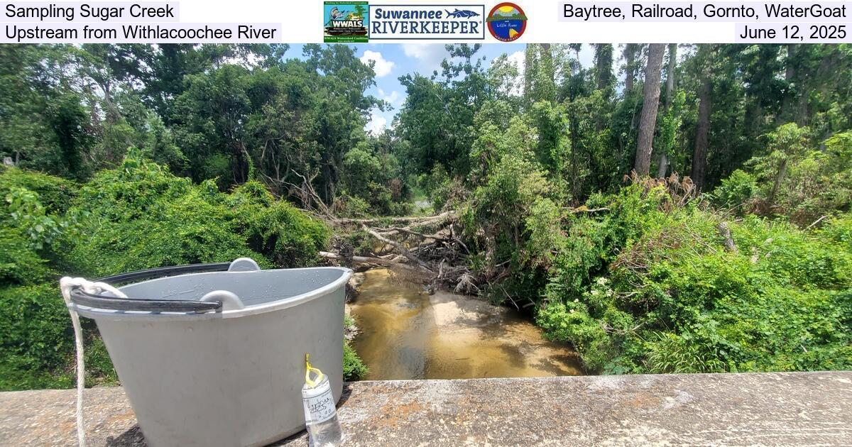 Sampling Sugar Creek, Baytree, Railroad, Gornto, WaterGoat, Upstream from Withlacoochee River, June 12, 2025