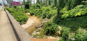 [Upstream Sugar Creek @ Baytree Road --jsq for WWALS, 2025:06:12 13:05:24, 30.8469884, -83.3139105]