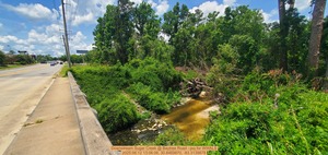[Downstream Sugar Creek @ Baytree Road --jsq for WWALS, 2025:06:12 13:06:06, 30.8469870, -83.3139878]
