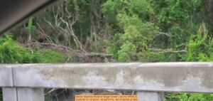 [Movie: Baytree Road at Sugar Creek --jsq for WWALS, 2025:06:12 13:23:21, 30.8470115, -83.3139158 (9.3M)]