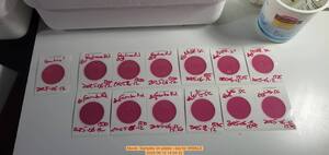 [Movie: Samples on plates --jsq for WWALS, 2025:06:12 14:54:32]