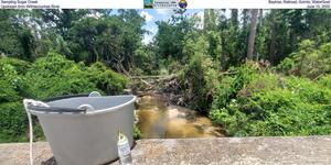[Sampling Sugar Creek, Baytree, Railroad, Gornto, WaterGoat, Upstream from Withlacoochee River, June 12, 2025]