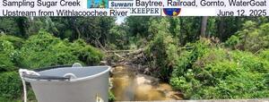 [Sampling Sugar Creek, Baytree, Railroad, Gornto, WaterGoat, Upstream from Withlacoochee River, June 12, 2025]