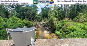 [Sampling Sugar Creek, Baytree, Railroad, Gornto, WaterGoat, Upstream from Withlacoochee River, June 12, 2025]