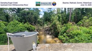 [Sampling Sugar Creek, Baytree, Railroad, Gornto, WaterGoat, Upstream from Withlacoochee River, June 12, 2025]