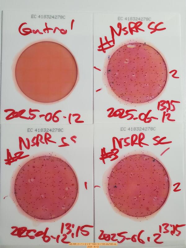 [NS RR: 2 + 1 + 2 = 5 * 100 / 3 = 133 cfu/100 mL]